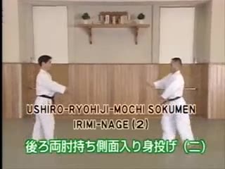 Ushiro Ryo Hiji Sokumen Irimi Nage (2)