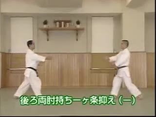 Ushiro Ryo Hiji Mochi Ikkajo Osae (1)