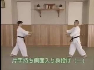 Katate Mochi Sokumen Irimi Nage (1)