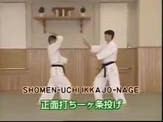 Shomen Uchi Ikkajo Nage
