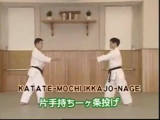 Katate Aya Mochi Nikajo Nage