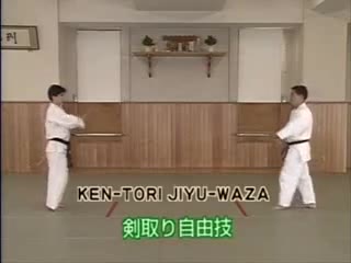 Ken Tori Jiyu Waza
