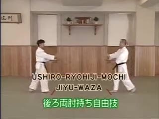 Ushiro Ryo Hiji Mochi Jiyu Waza