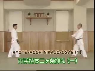 Ryote Mochi Nikajo Osae (1)