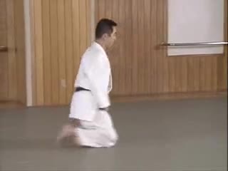 Ushiro Shikko Ho