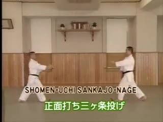 Shomen Uchi Sankajo Nage