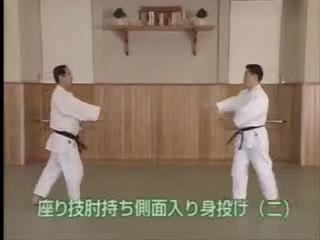 Suwari Waza Hiji Mochi Sokumen Irimi Nage (2)
