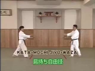 Kata Mochi Jiyu Waza