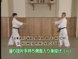 Suwari Waza Katate Mochi Sokumen Irimi Nage (1)