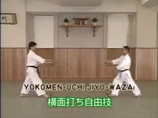 Yokomen Uchi Jiyu Waza