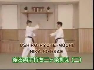 Ushiro Ryote Mochi Nikajo Osae