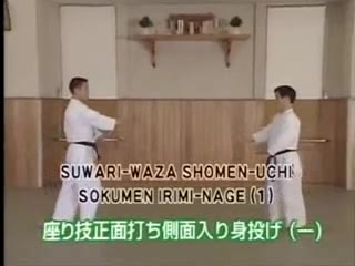 Suwari Waza Shomen Uchi Sokumen Irimi Nage (1)