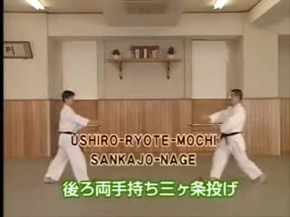 Ushiro Ryote Mochi Sankajo Nage
