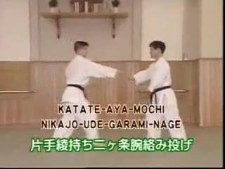 Katate Aya Mochi Nikajo Ude Garami Nage