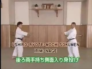 Ushiro Ryote Mochi Sokumen Irimi Nage