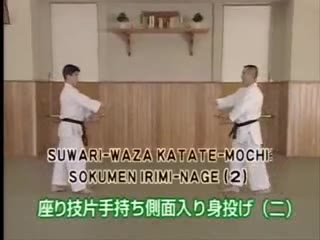 Suwari Waza Katate Mochi Sokumen Irimi Nage (2)