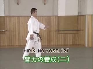 Hiriki No Yosei (2)