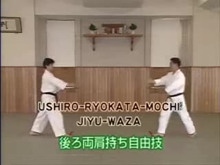 Ushiro Ryo Kata Mochi Jiyu Waza